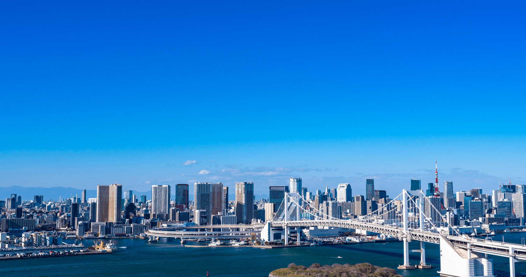 イメージ画像1枚目